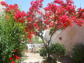 il giardino fiorito, colori e profumi a due passi dal mare
